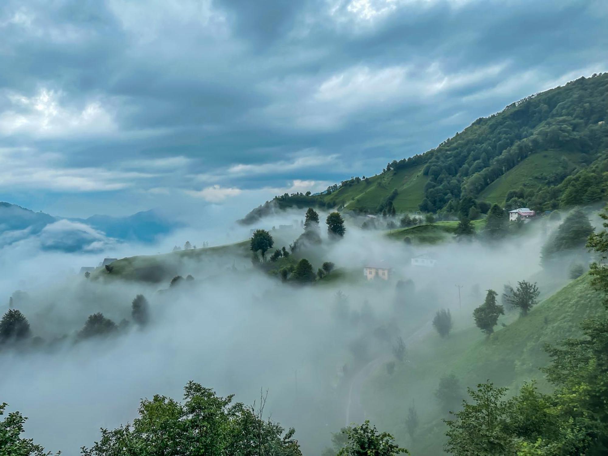Organic Village Bungalow Ayder Yaylasi Exteriör bild